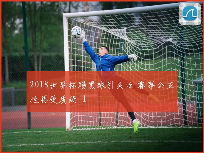 2018世界杯踢黑球引关注 赛事公正性再受质疑_1