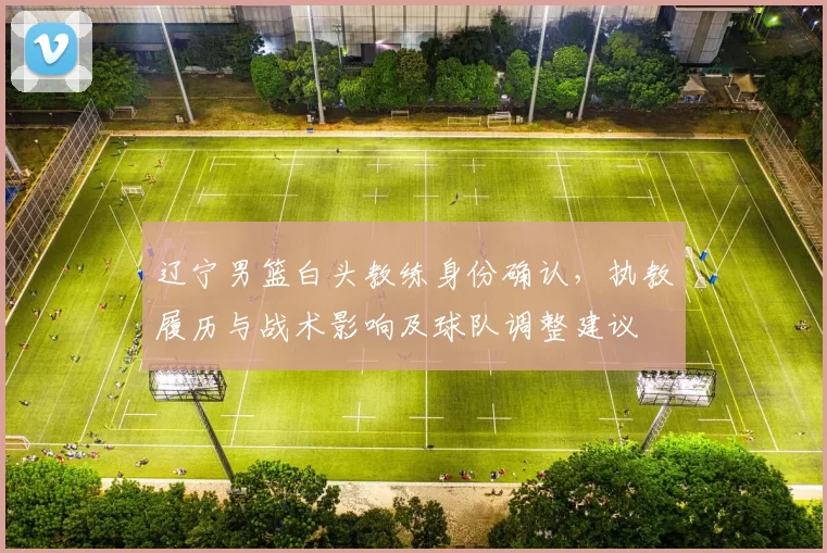 辽宁男篮白头教练身份确认,执教履历与战术影响及球队调整建议