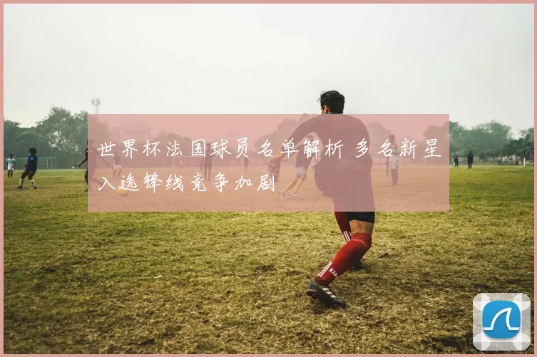 世界杯法国球员名单解析 多名新星入选锋线竞争加剧